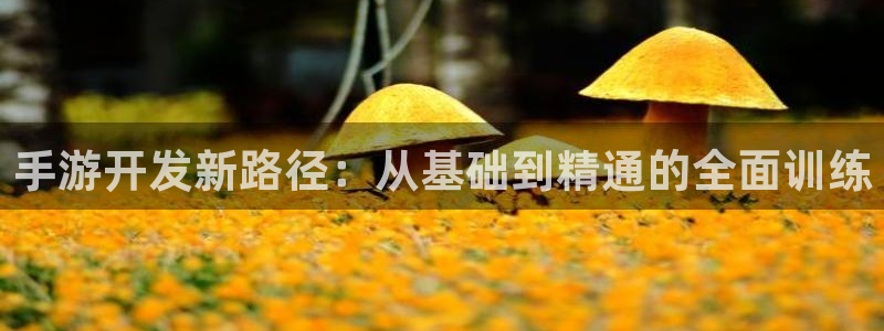 三牛娱乐挂机软件下载：手游开发新路径：从基础到精通的全面训练