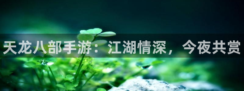 三牛娱乐网站：天龙八部手游：江湖情深，今夜共赏