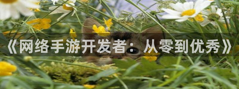 三牛娱乐负责人：《网络手游开发者：从零到优秀》