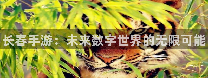 三牛娱乐管网：长春手游：未来数字世界的无限可能