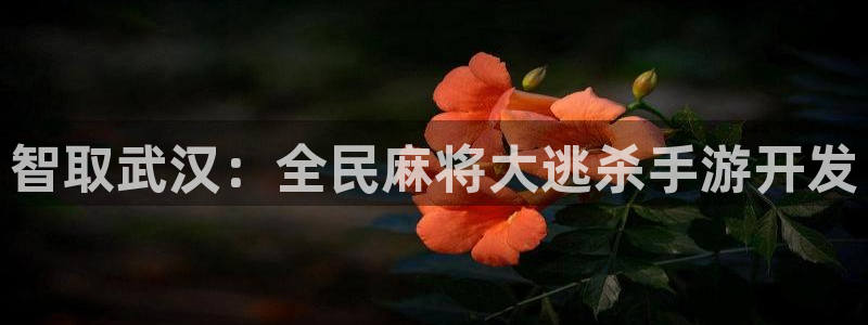 三牛平台娱乐：智取武汉：全民麻将大逃杀手游开发