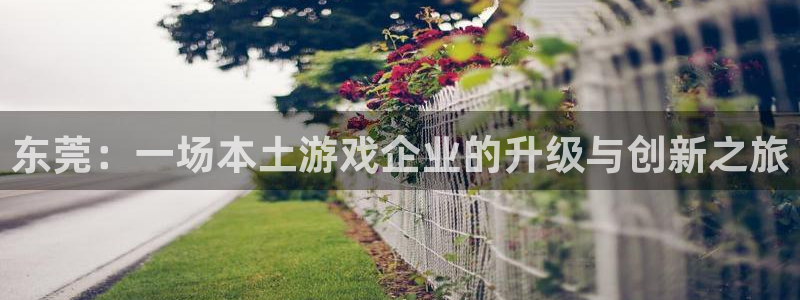 三牛娱乐如何注册：东莞：一场本土游戏企业的升级与创新之旅