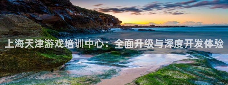 三牛公司：上海天津游戏培训中心：全面升级与深度开发体验