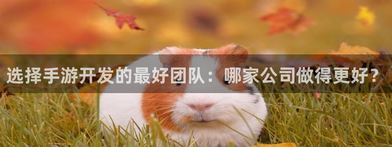 三牛娱乐测速系统：选择手游开发的最好团队：哪家公司做得更好？