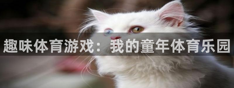 vsport体育在线官网