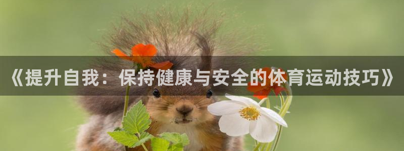 vsport体育在线官网