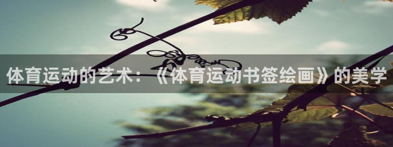 vsport体育在线官网
