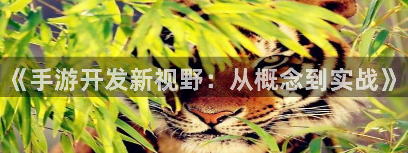 三牛娱乐管网客服电话：《手游开发新视野：从概念到实战》