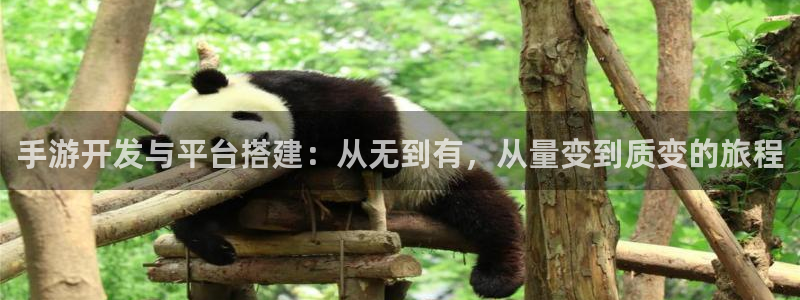 三牛娱乐是网络诈骗平台吗知乎：手游开发与平台搭建：从无到有，