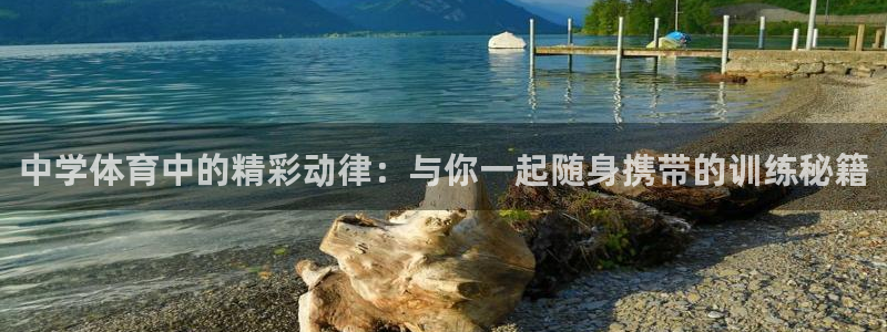 vsport体育在线官网