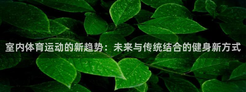 vsport体育在线官网