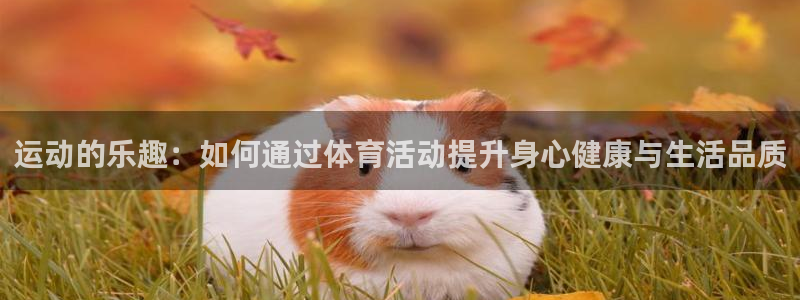 vsport体育在线官网